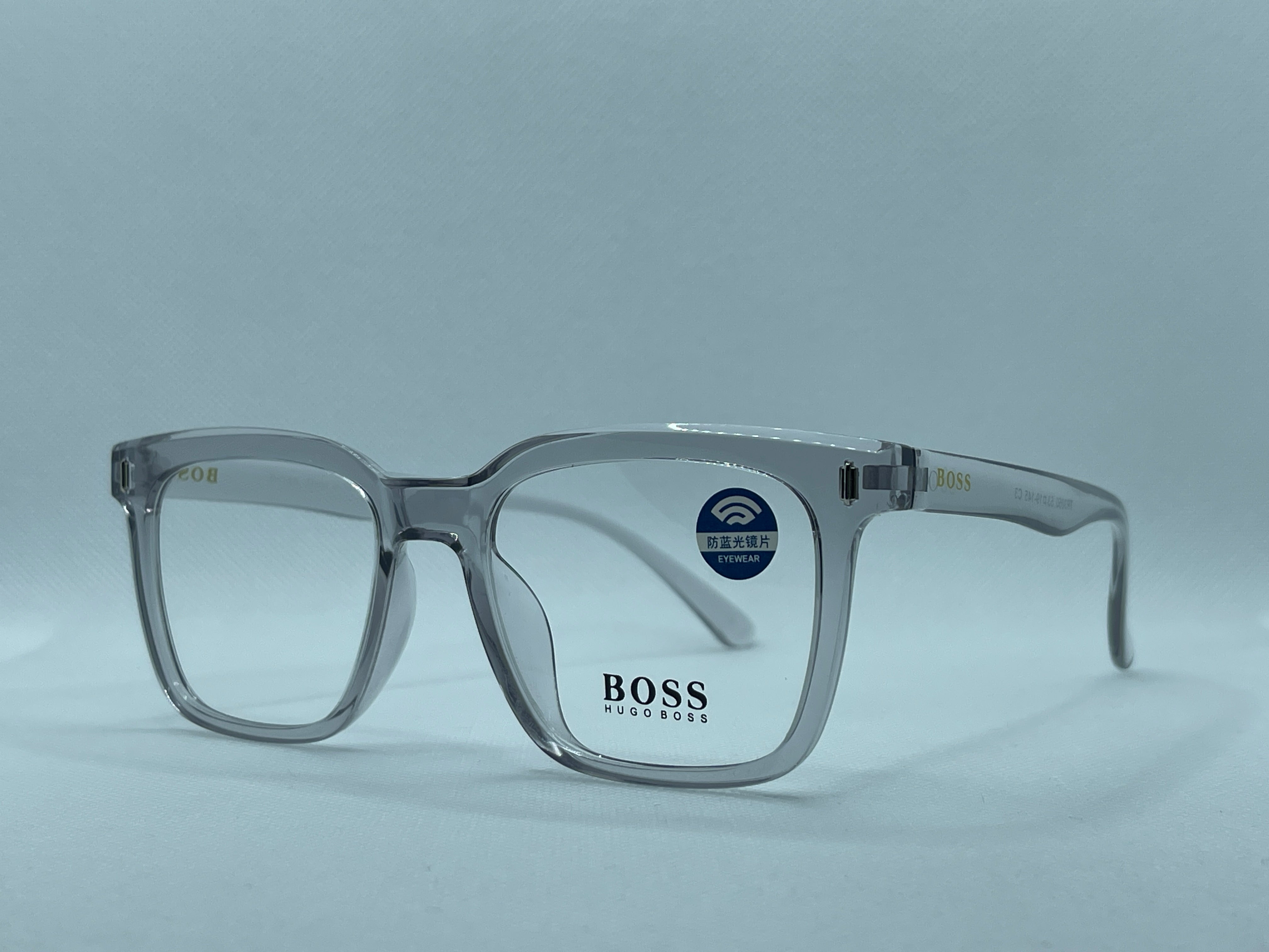 Hugo Boss Transparent Computer Glasses