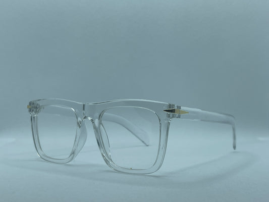 SpectraClear™ Protection Glasses